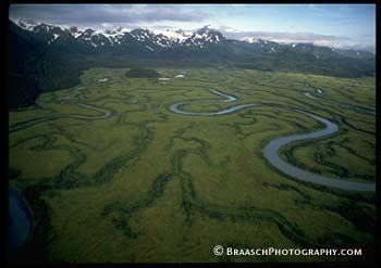 Estuaries. Alaska. Rivers. Meandering