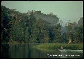 Costa Rica. Canoes. Tropical Forest. Rain Forests