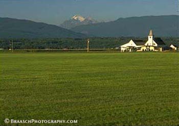 Fields, meadows. Churches. Rural Scenes. Washington State. Skagit Valley. Edison, WA