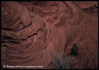 Canyon de Chelly, AZ. Sandstone. Rocks, rock types. Patterns. Aeolean deposits