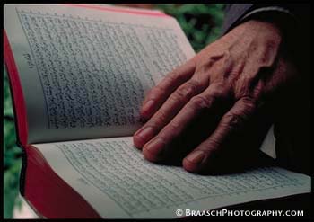 Religious images. Devotion. Reading. Islam. Books. Hands. Israel (Palestine