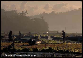 Indonesia. Bali. Harvest. Seaweed. Canoes. Agriculture.