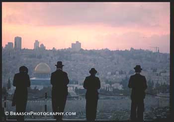 Jerusalem. Hebrews. Jews. Religions. Israel. Hasidic. Prayer. Devotion