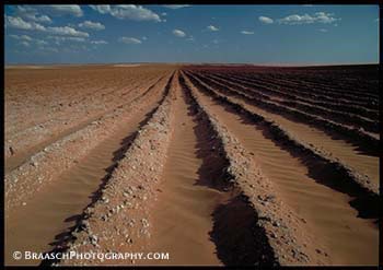 Drought. Dry fields. Texas. Climate change. Global Warming. Farming. Dust