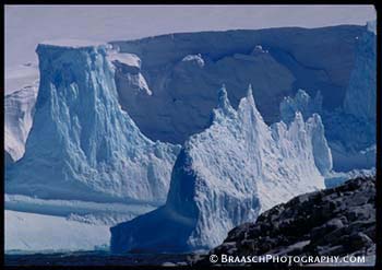 Antarctica. Icebergs. Glaciers. Cold. Near Palmer Station. 