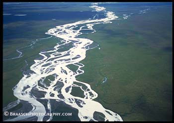 Rivers. Alaska. Aerials. Braided stream. Sadleroachit R., Arctic Natl Wildlife refuge. Spring. 