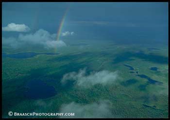 Aerial views. Alaska. Yukon river valley. Rainbows. Wetlands. Muskeg. Boreal forest. Wilderness.