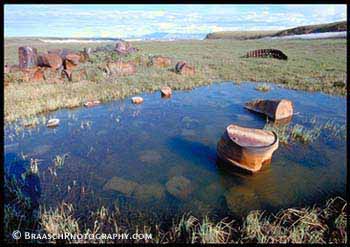 Environment. Environmental issues. Petroleum industry. Oil. Oil spills. Alaska. Arctic Natl Wildlife Refuge. Canning river. Waste. Barrels left on banks of Canning River by oil exploration in 1960's, opposite ANWR