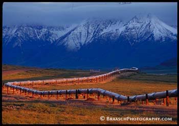 Alaska Pipeline. Trans-alaska Pipeline just north of Brooks Range near Toolik L. Tundra. Oil, petroleum. Environmental issues