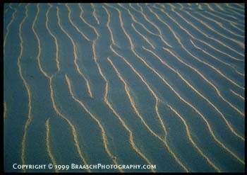 Sand. Sand dunes. Ripple pattern created by wind over sand dunes. Rhythm. Drought