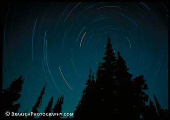 Night. Stars. Trees. Conifers. North. Time. Space