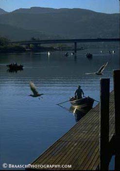 Fishing. Fishermen. Fishers. Boats. Docks. Harbors. Gulls. Recreation