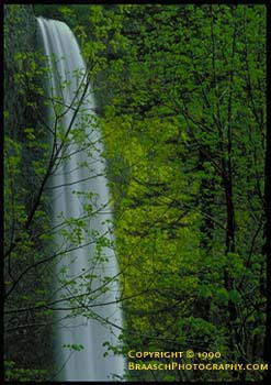 Waterfalls. Water. Rainbows. Mist. Olympic NP. Solduc Falls. Canyons