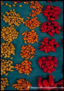 Vegetables. Tropics. Color. Peppers. Markets. Iquitos, Peru