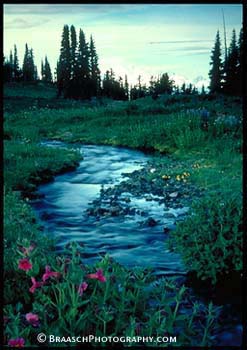 Landscapes. Alpine. Meadows. Streams. mountains. British Columbia. Environment. Garibaldi PP.