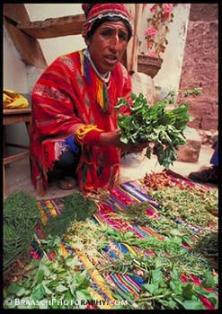 Ethnobotany. Peru. Cechuan culture. Medicinal plants. Inca culture. Cuzco. Shaman. 