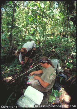 Earth science. Tropical forests. Research. Scientists. Field science. Climate change. Costa Rica.