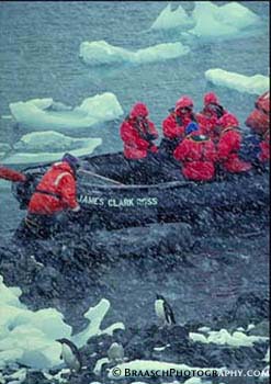 Ecotourism. Antarctica. Tourism. Boats. Penguins. Cruise ships. Snow. Ice. Anvers Island. Cold. 