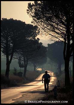 Roads. Walking. Alone. Trees. Italy. Tuscany. Silhouettes.