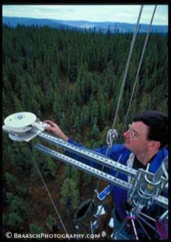 Meteorology. Scientists. Research. Alaska. Climate. Climate change. UV radiation. Boreal forest. Forests. Climbing. High. 